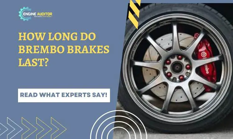 How long do Brembo brakes last? Read What Experts Say!