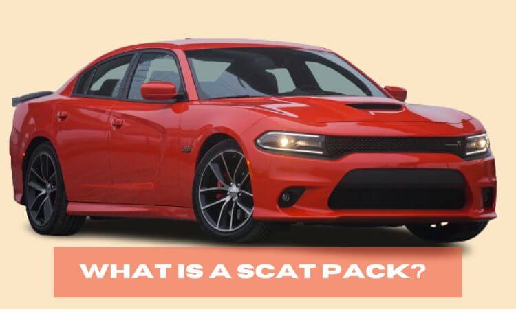 What is a Scat Pack