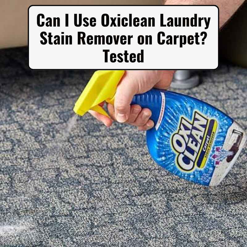 Can I Use Oxiclean Laundry Stain Remover on Carpet