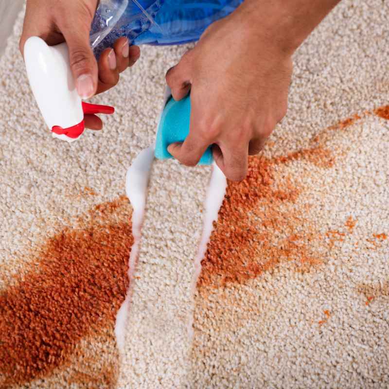 Should You Use Oxiclean Laundry Stain Remover On Carpet