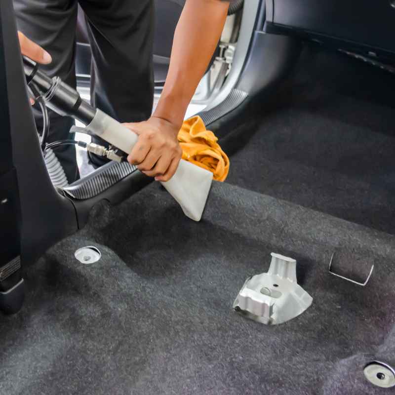Understanding Mold In Carpets