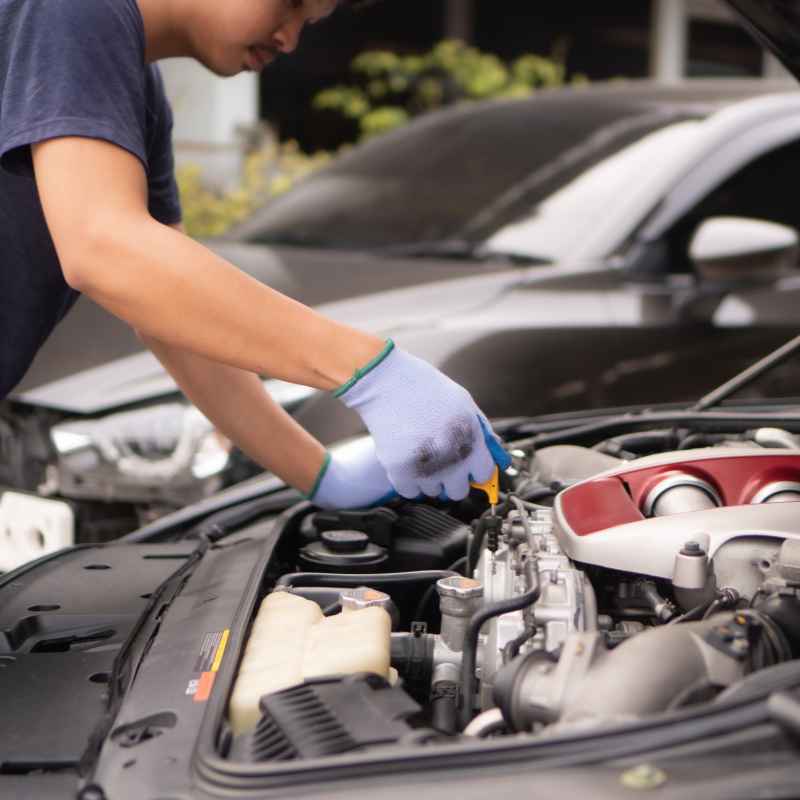 What You Need to Check and Add Oil