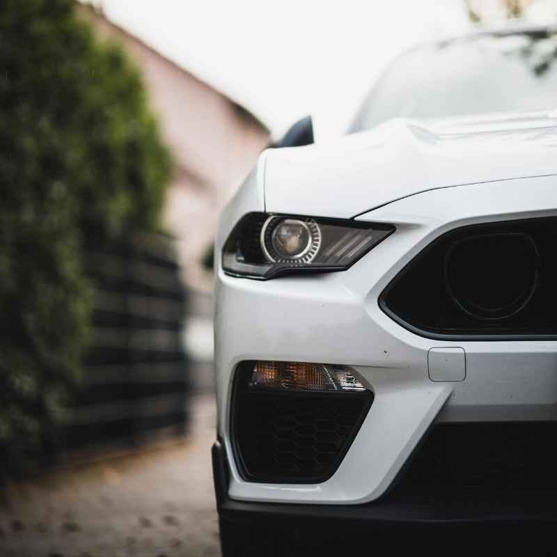 Potential for New Ford Models via Imports