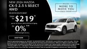 Ll Vehicle Type: What It Means And Who Qualifies