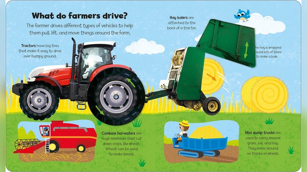 Vehicle Type Vs Make: How They Differ And Why It Matters