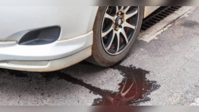 Why Does Car Engine Oil Leak? Common Causes & Fixes