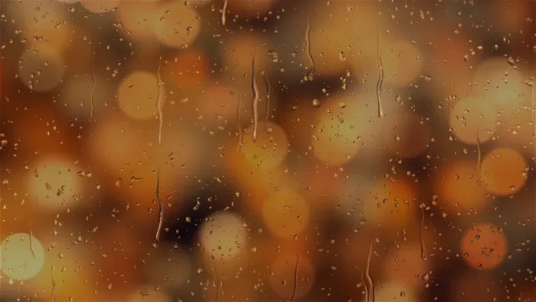 Best Car Lights for Rain: Stay Safe in Wet Conditions