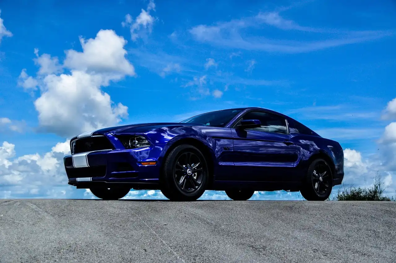 Ford Mustang EcoBoost and GT parked side by side at a sunlit overlook