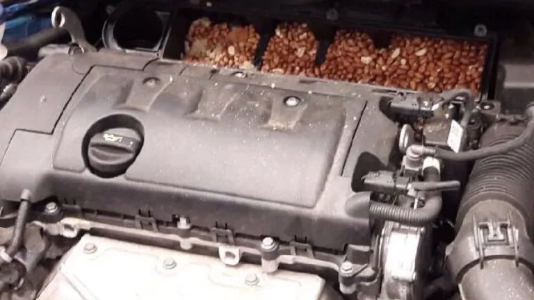 Honda Civic with open hood and cabin area visible, mechanic holding an engine air filter