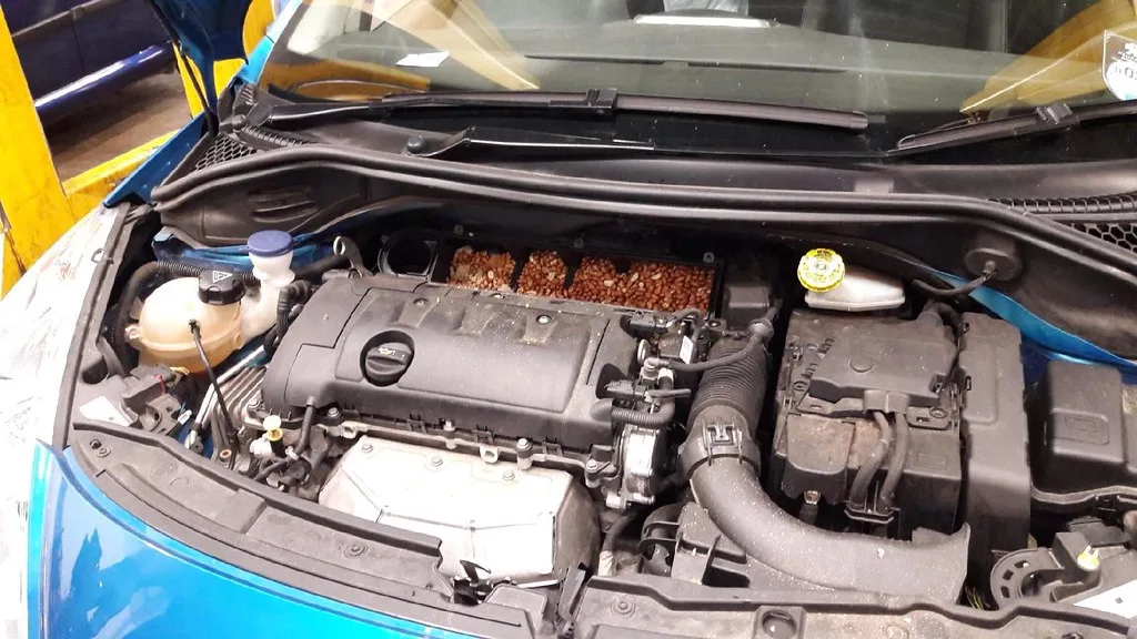 Honda Civic cabin air filter being removed from the glove box area