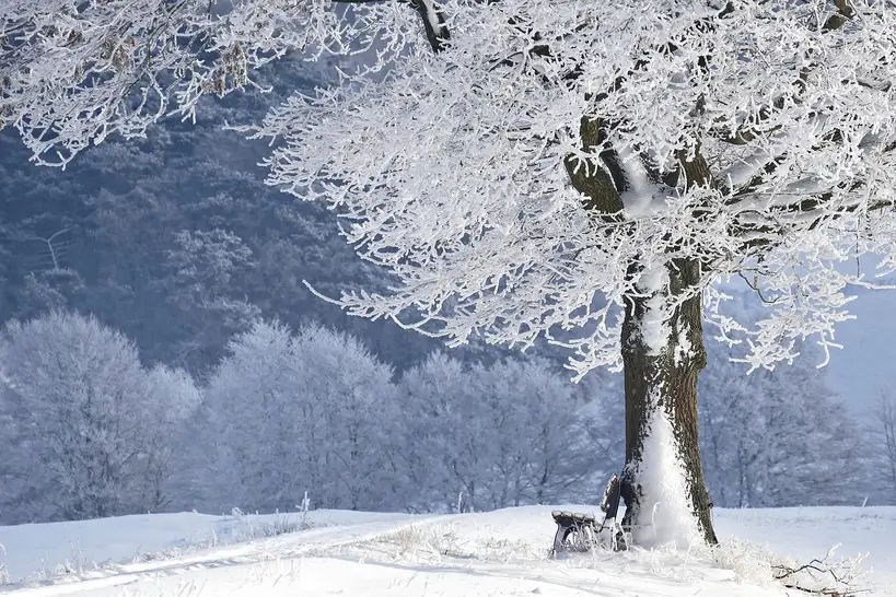Do you need AWD if you already use winter tires?
