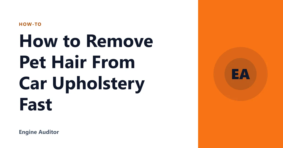 How to Remove Pet Hair From Car Upholstery Fast