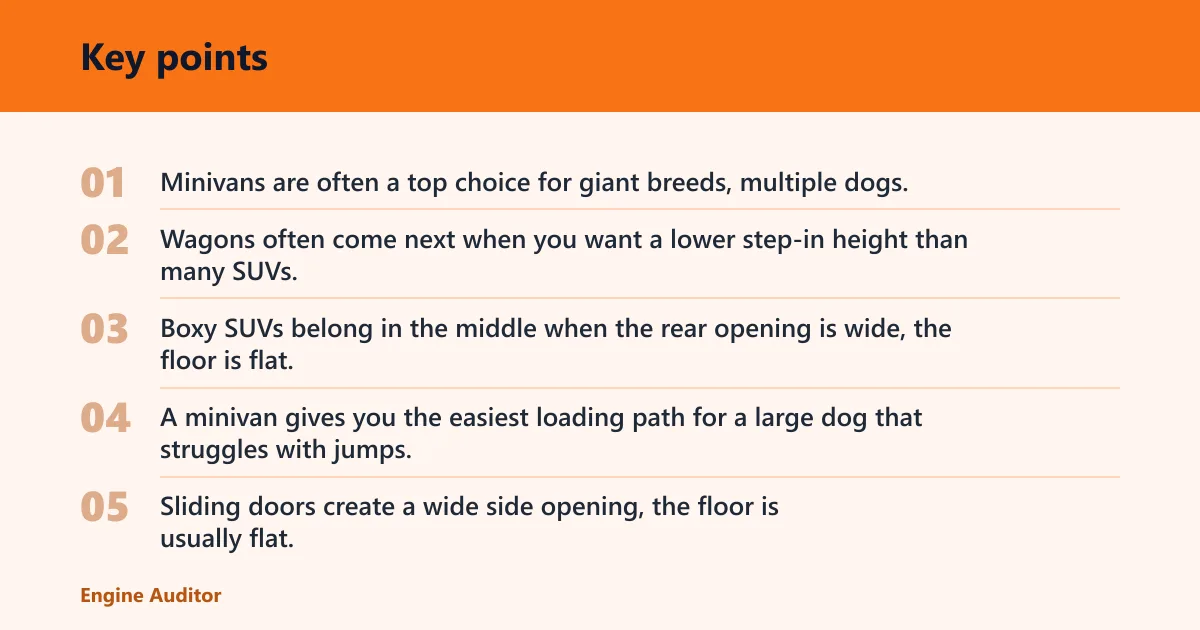 Key points: Top pick for large dogs