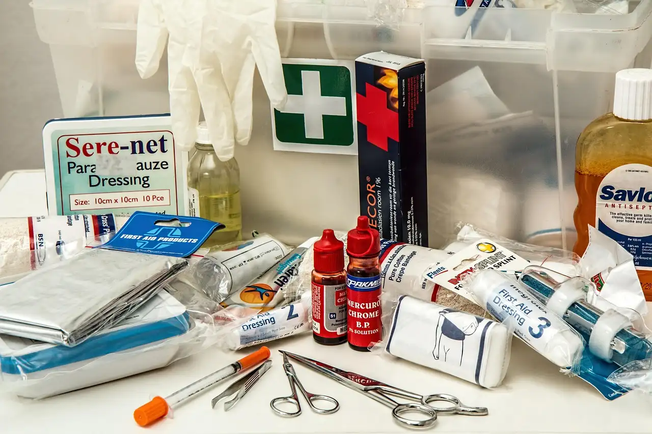 Car emergency kit items neatly arranged in an open trunk beside a sedan on a roadside.