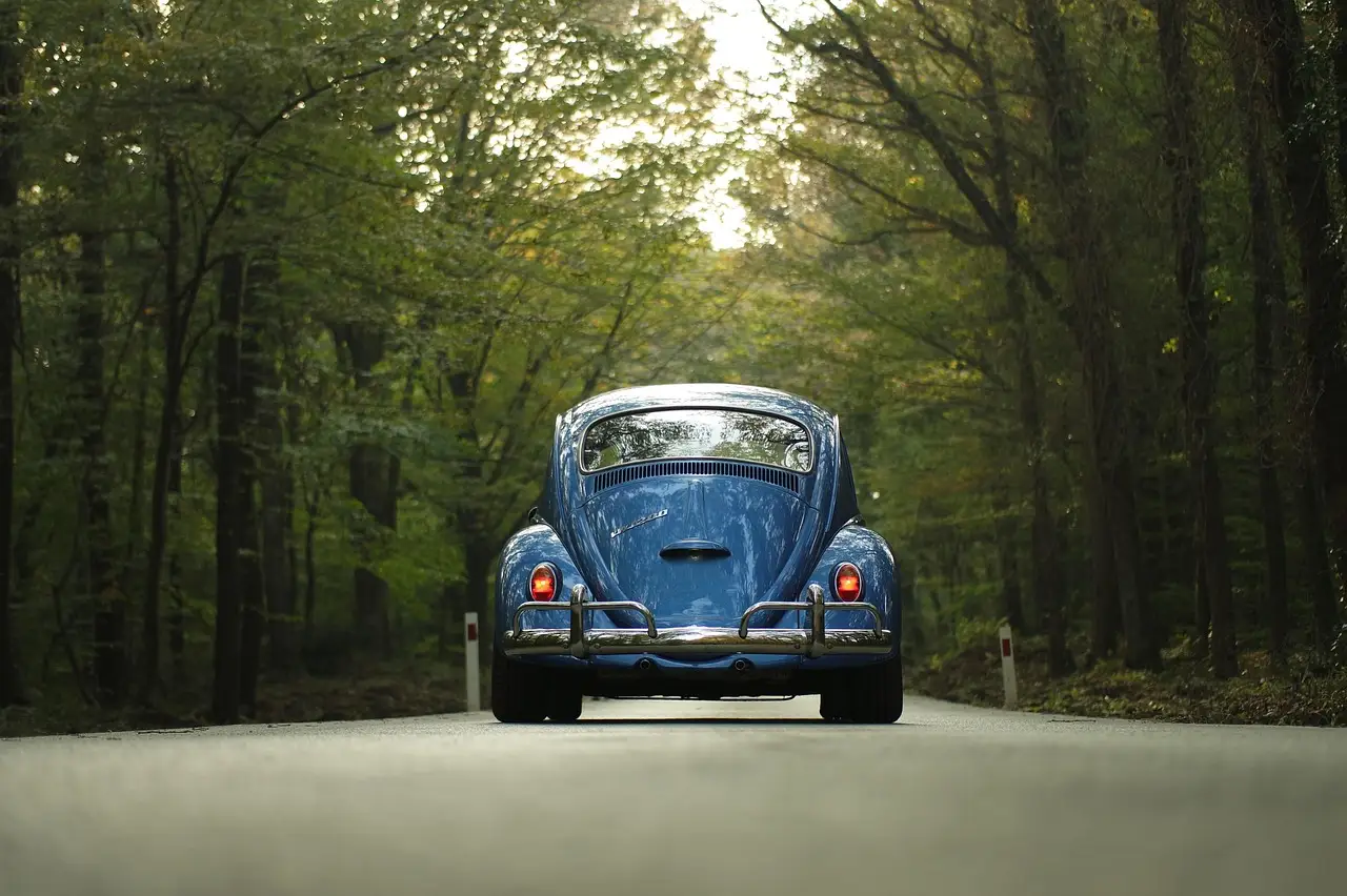 Which vehicle type is best for road trips?