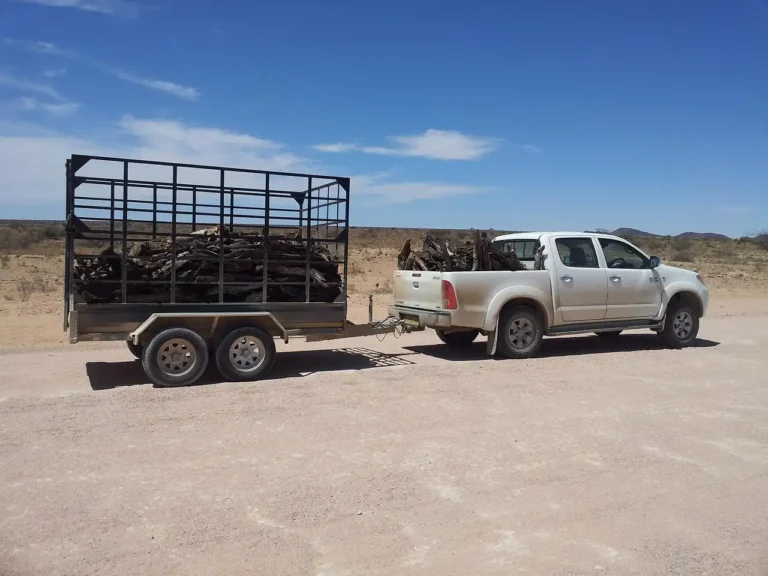 A midsize SUV towing a small utility trailer with gear loaded in a suburban driveway.